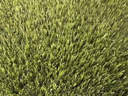 Artificial Grass Cool Yarn 86 w/ Upgraded Blue Backing