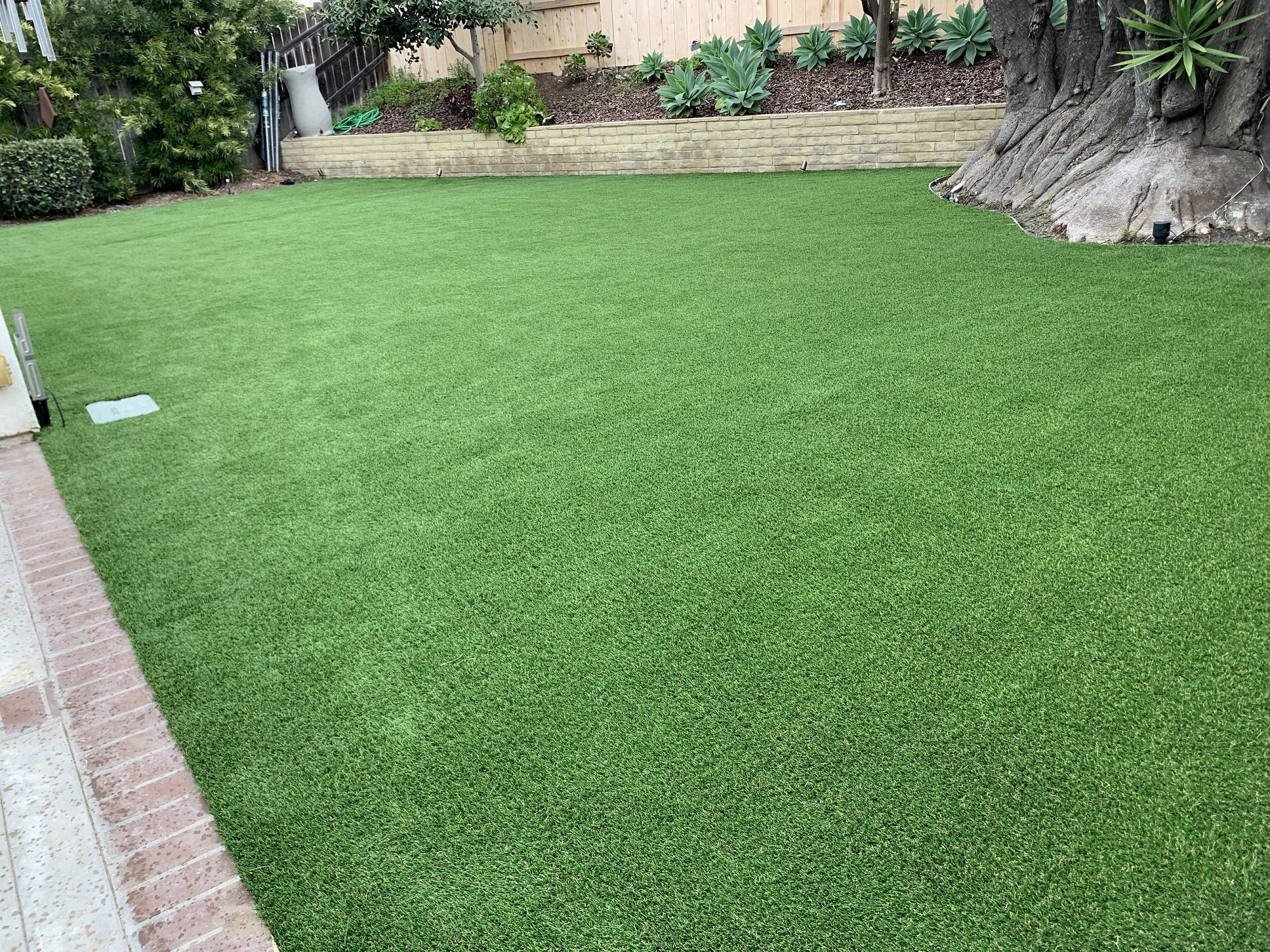 natural70-052723-01