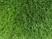 detail_2_Memory50-1.jpg