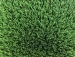 detail_11_wave86-01.JPG