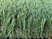 detail_6_WBlade76-2.JPG