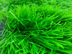 Sport Grass RL004-44