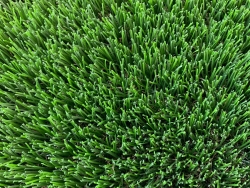Artificial Grass Memory 84