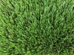 Artificial Grass Splendid 75
